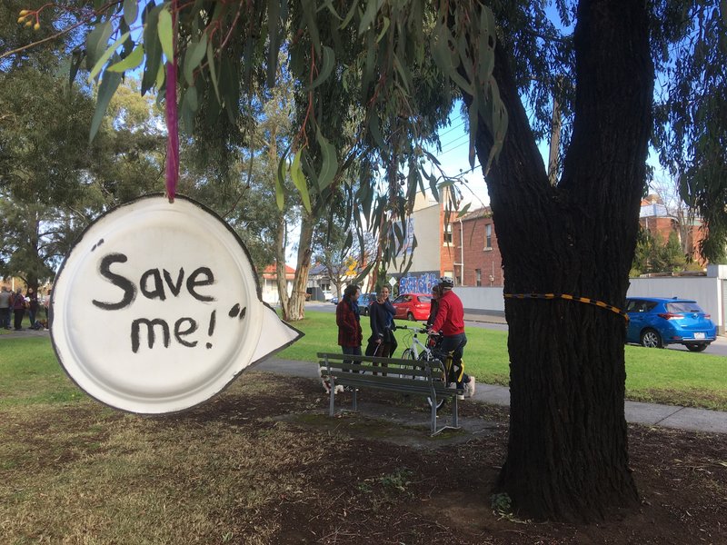 Minister refuses to guarantee preservation of Gandolfo Gardens&nbsp;trees